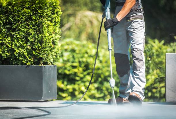 Best House Exterior Washing  in Lexington, VA